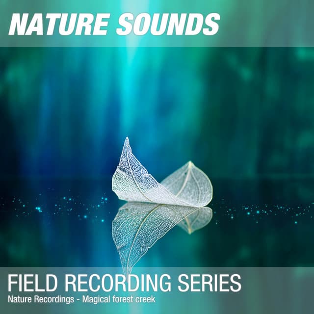 Nature Recordings - Magical forest creek - Nature Sounds