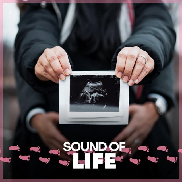Sound of Life - Womb Sound