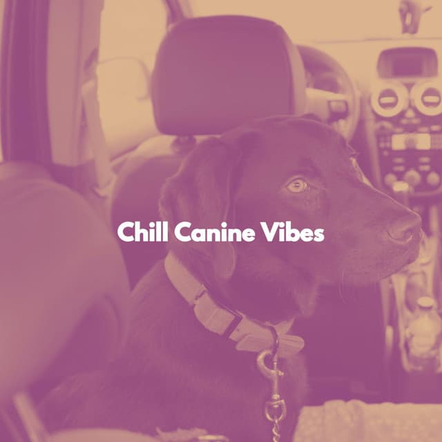 Chill Canine Vibes - Musica Relajante para Perros Momentos