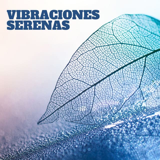 Vibraciones Serenas: Música Zen para Yoga y Meditación Profunda - Reiki y Tai Chi Armonía