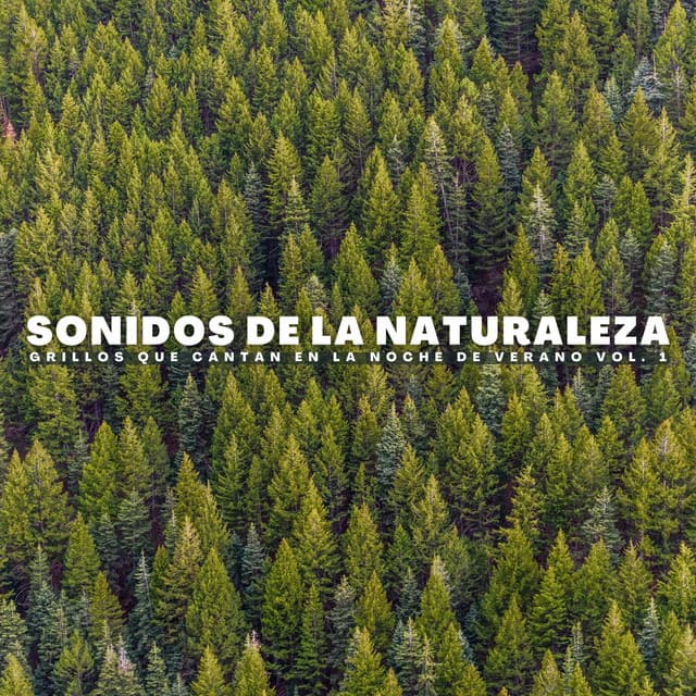 Orquesta Nativa Americana