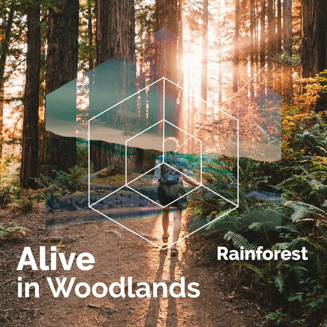 Alive in Woodlands - Rainforest