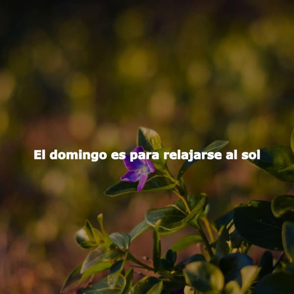 El domingo es para relajarse al sol - Relaxing Music Orchestra