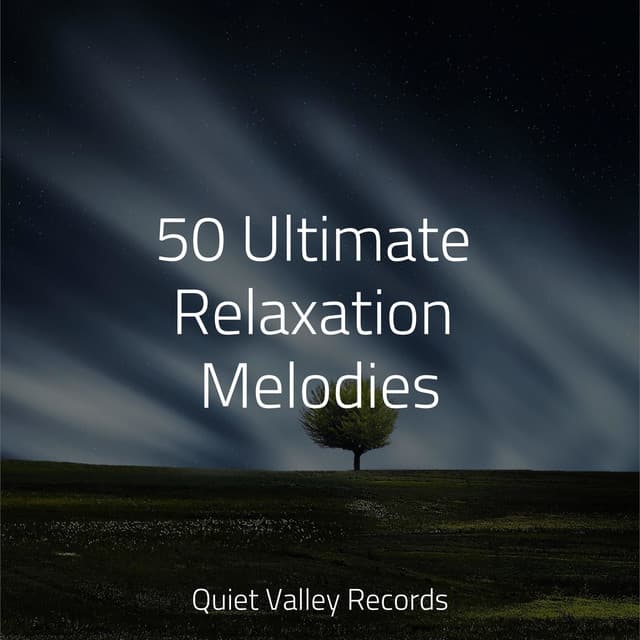 50 Ultimate Relaxation Melodies - Naturaleza Sonidos