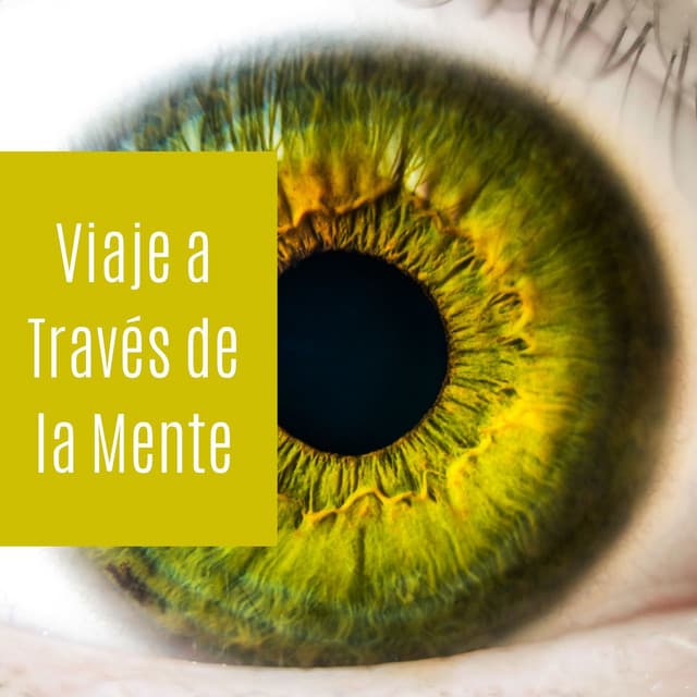 Viaje a Través de la Mente: Música con Sonidos Binaurales, Estimulación las Ondas Cerebrales - Serenidad y Armonía