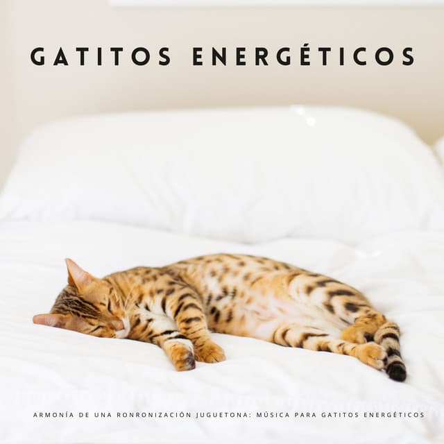 Armonía De Una Ronronización Juguetona: Música Para Gatitos Energéticos - Música Tranquila