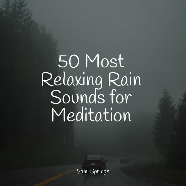 50 Most Relaxing Rain Sounds for Meditation - Nature Chillout