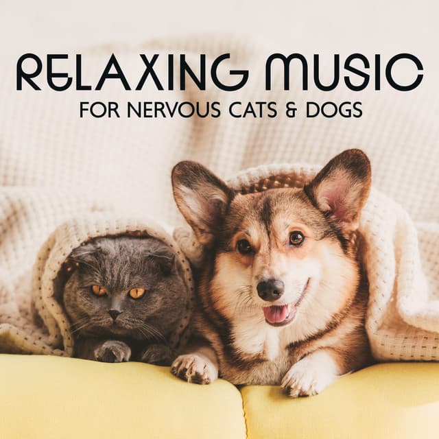 Relaxing Music for Nervous Cats & Dogs: Soothing Instrumental for Hyperactive Pets, Quick Therapy for Stress and Anxiety Relief - Pets Music