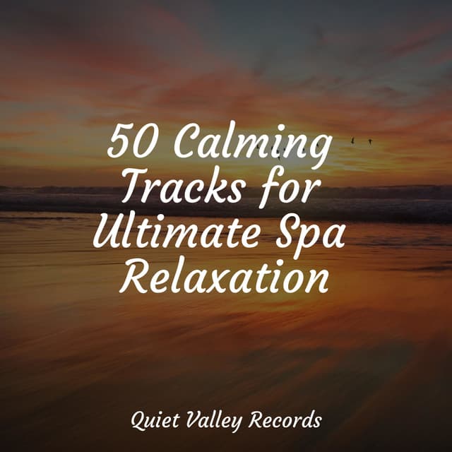 50 Calming Tracks for Ultimate Spa Relaxation - Meditação Maestro