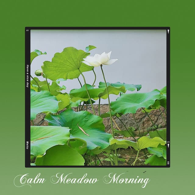 Calm Meadow Morning - Relaxing Piano Music