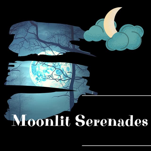 Moonlit Serenades - Night Sounds Channel