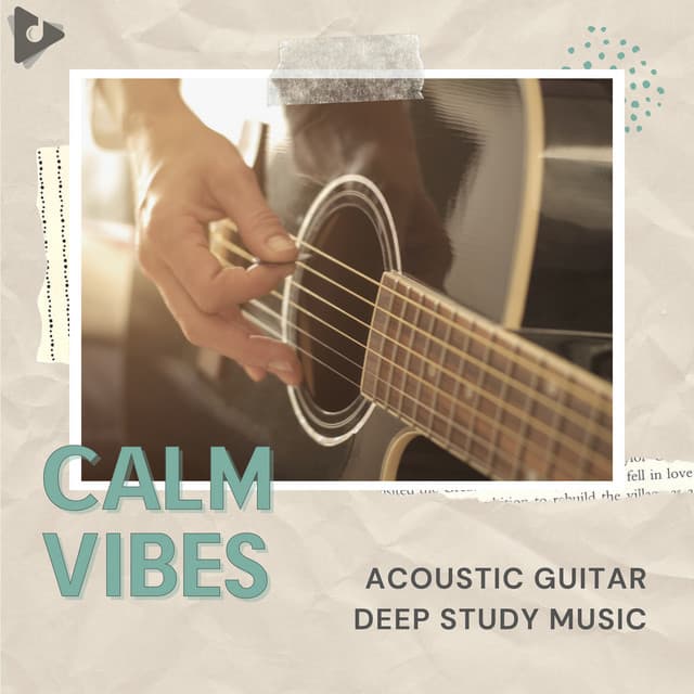 Acoustic Guitar Deep Study Music - Calm Vibes