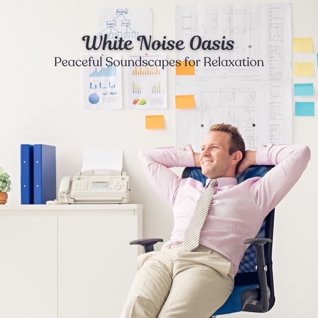 White Noise Oasis: Peaceful Soundscapes for Relaxation - White Noise for Sleeping
