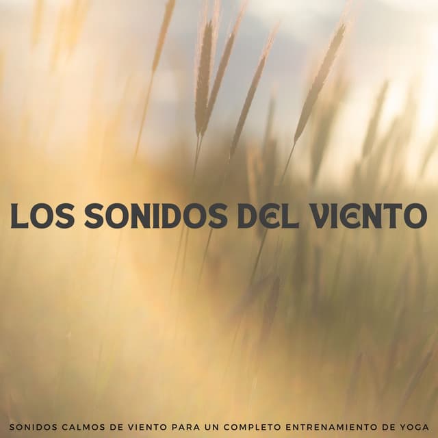 Los Sonidos Del Viento: Sonidos Calmos De Viento Para Un Completo Entrenamiento De Yoga - Sonidos De Lluvia y Viento