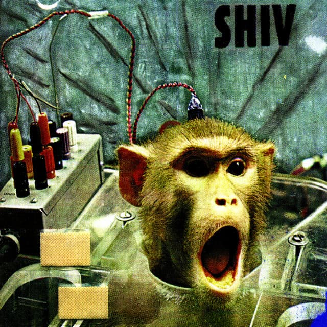 Flayed And Ashamed - Shiv