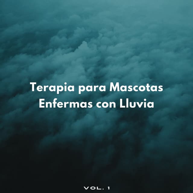 Terapia Para Mascotas Enfermas Con Lluvia Vol. 1 - Ricky sonido de lluvia