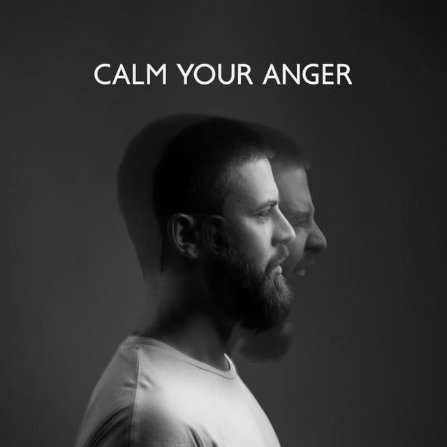 Calm Your Anger: Native Therapy Music to Reduce Anger and Stress - Relaxing Night Music Academy