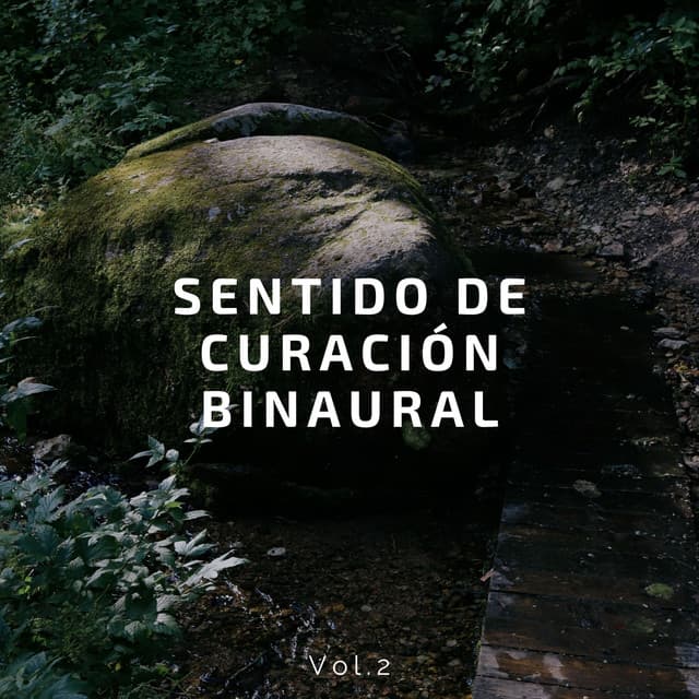 Sentido de curación binaural Vol.2 - Latidos Binaurales Puros