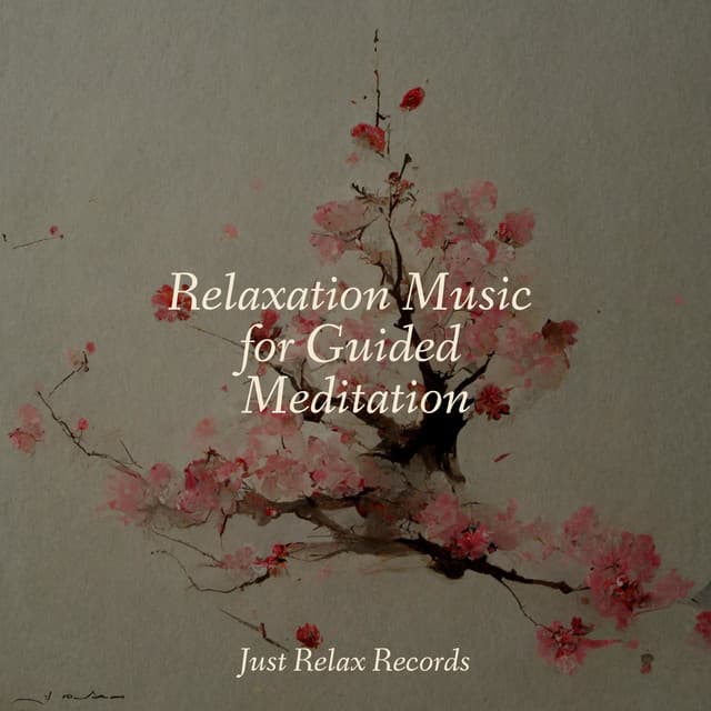 Relaxation Music for Guided Meditation - Mantra para Meditar