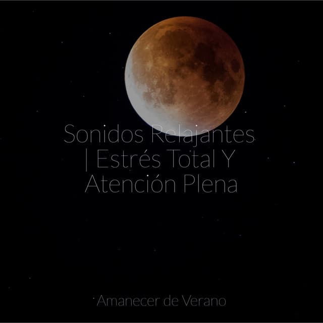 Sonidos Relajantes | Estrés Total Y Atención Plena - Meditación Interna