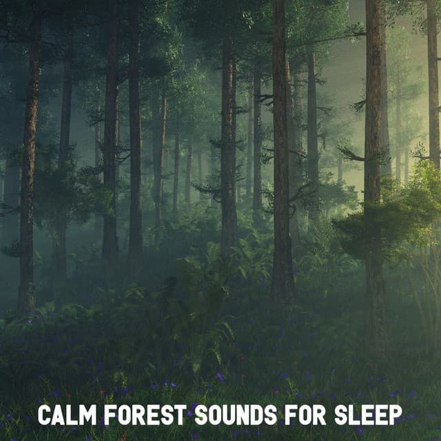 Calm Forest Sounds for Sleep - Forest Sounds