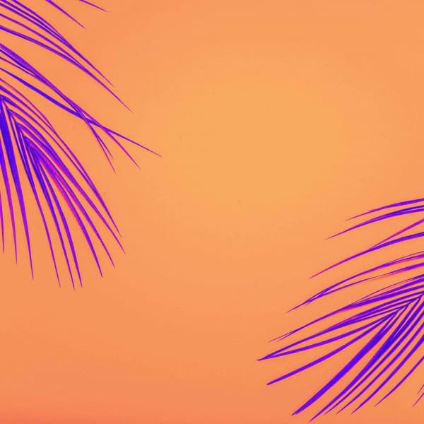 Bright Background for Unwinding Nights - Chill Hop Playlist