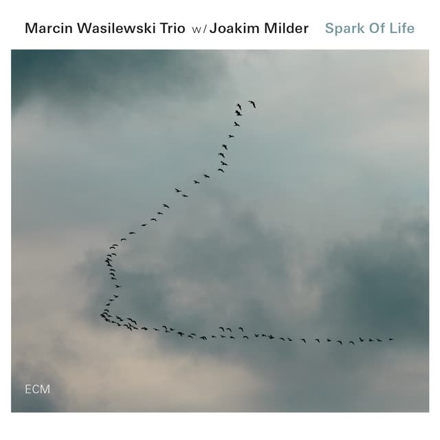 Spark Of Life - Marcin Wasilewski Trio