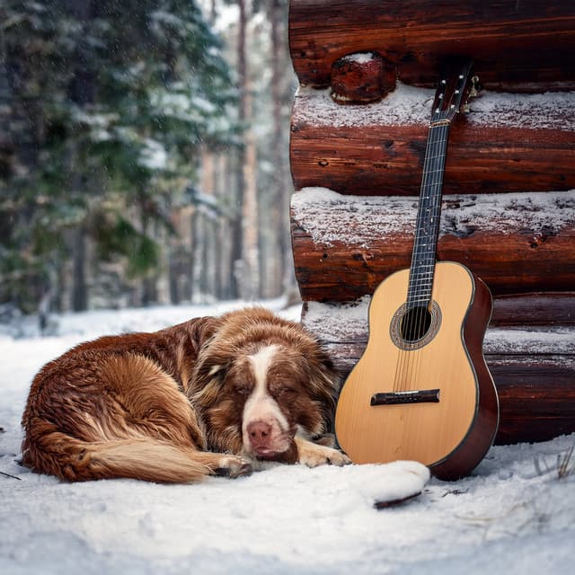 Chilled Background Guitar Music