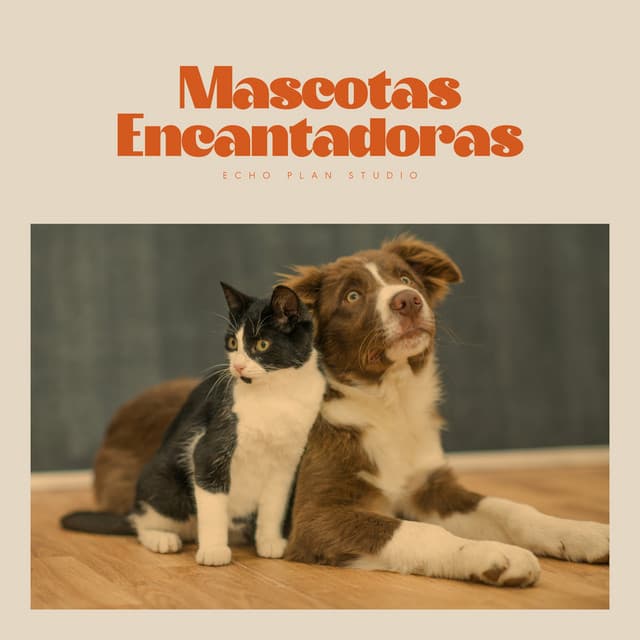 Mascotas Encantadoras - Mascotas tranquilas