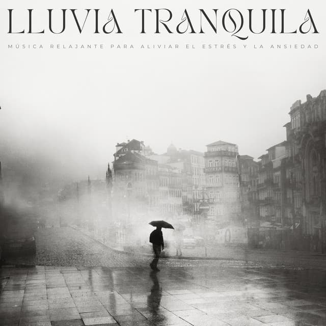 Lluvia Tranquila: Música Relajante Para Aliviar El Estrés Y La Ansiedad - Sonidos de lluvia y naturaleza