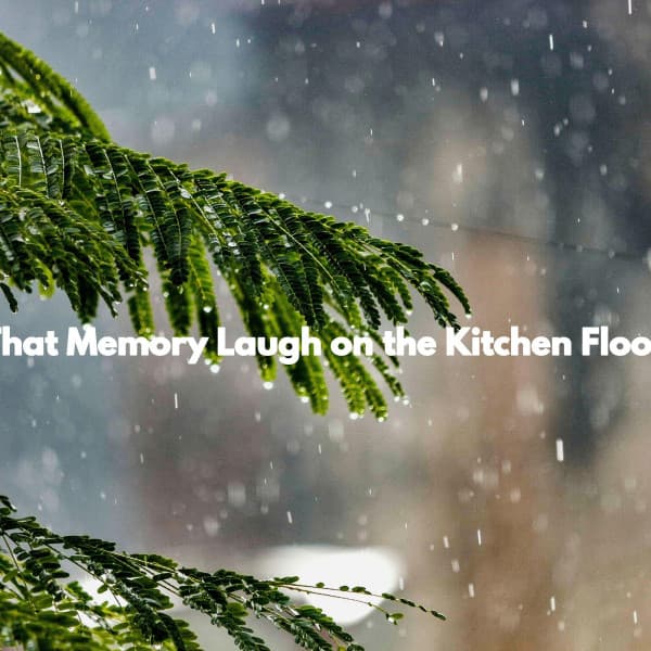 That Memory Laugh on the Kitchen Floor - Smooth Light Restaurant Music