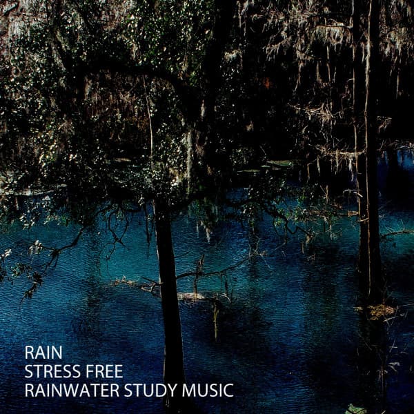 Rain: Stress Free Rainwater Study Music - Water Sound Natural White Noise
