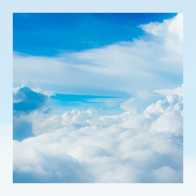 Sleep To Dream - Dream Supplier