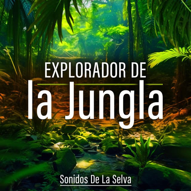 Explorador de la Jungla - Sonidos De La Selva