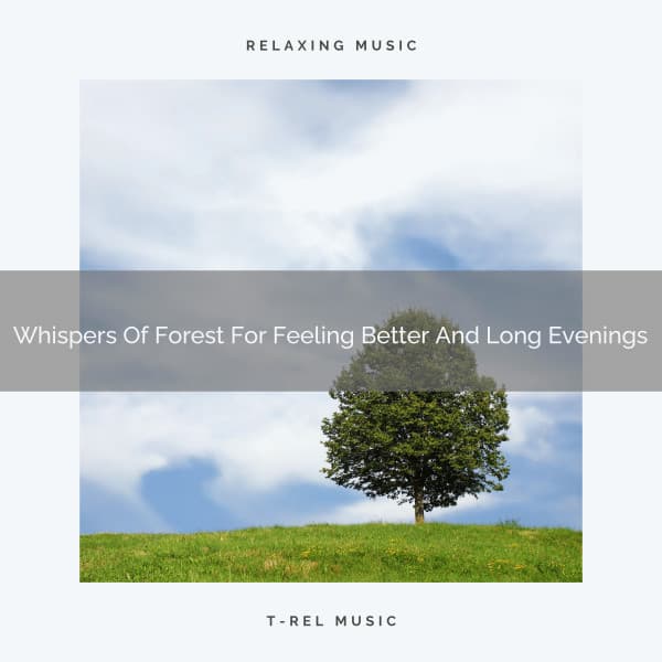 Whispers Of Forest For Feeling Better And Long Evenings - Tranquil Music Sound of Nature