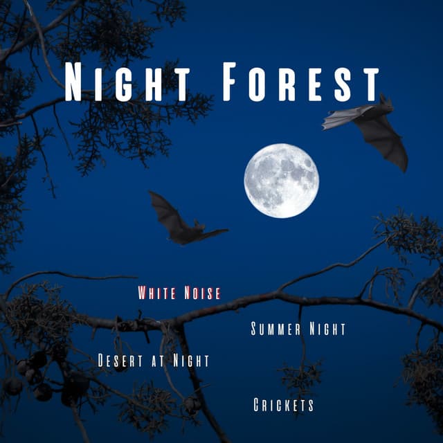 Night Sounds
