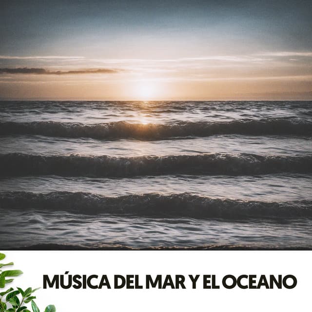 Música del Mar y el Oceano: Melodías de agua y serenidad - Relajacion