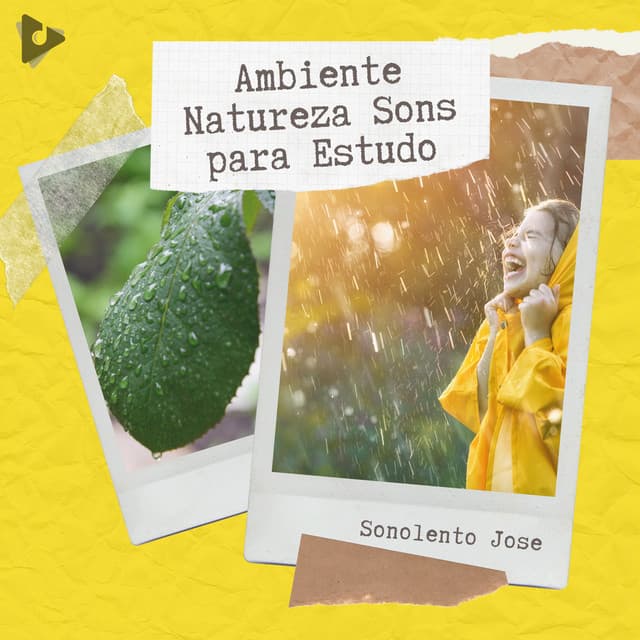 Ambiente Natureza Sons para Estudo - Sonolento Jose