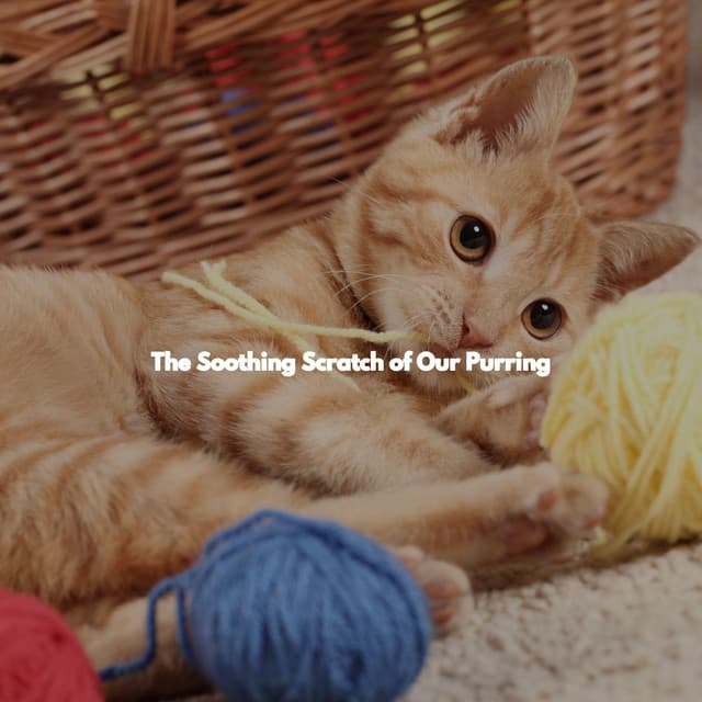 The Soothing Scratch of Our Purring - 1940s Coffee Jazz