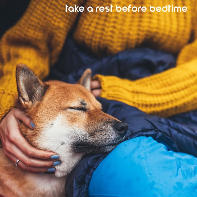 Take a Rest Before Bedtime with Calm Sounds - Soft Sleeping Melodies
