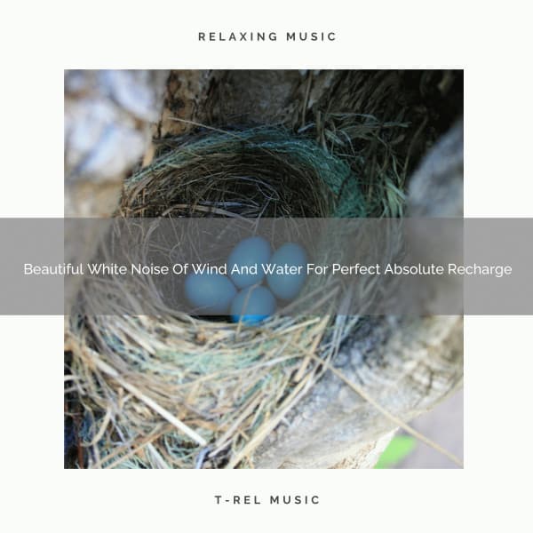 Beautiful White Noise Of Wind And Water For Perfect Absolute Recharge - The Noise Project