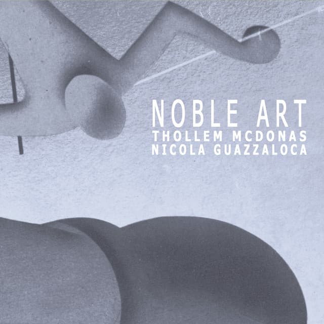 Noble Art - Comprovisation Concert For Two Pianos - Thollem Mcdonas