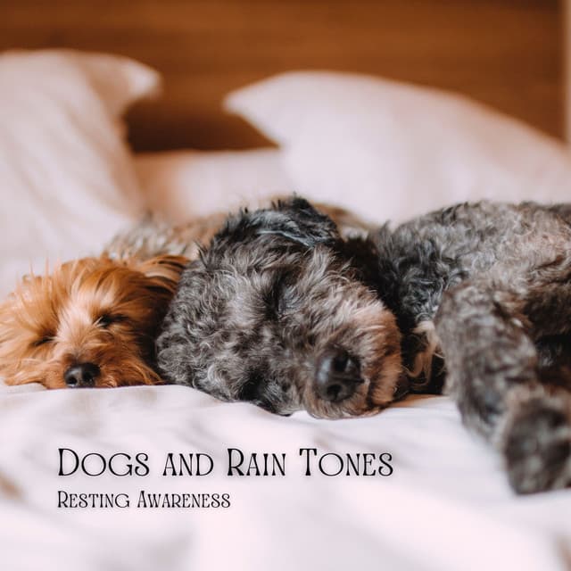 Dogs and Rain Tones: Resting Awareness - Underwater Sound