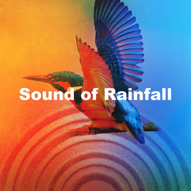 Sound of Rainfall - Avslappning Sound