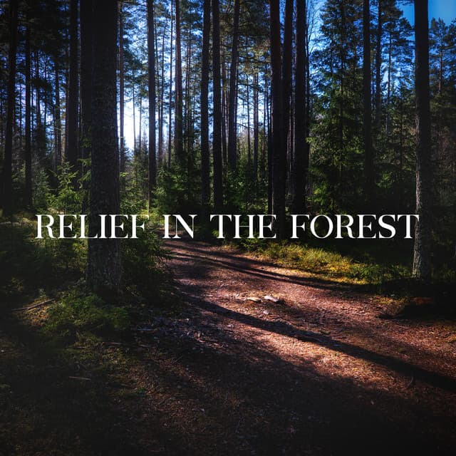 Relief in the Forest: Be One With Nature - Nature Tribe