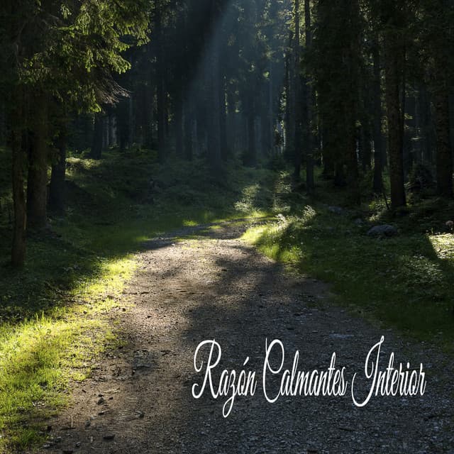 Razón Calmantes Interior - Música Instrumental Maestro
