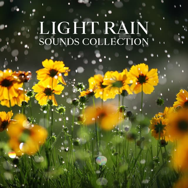 Light Rain Sounds Collection: Brings You Relaxation and Sleep - Relaxing Nature Sounds Collection