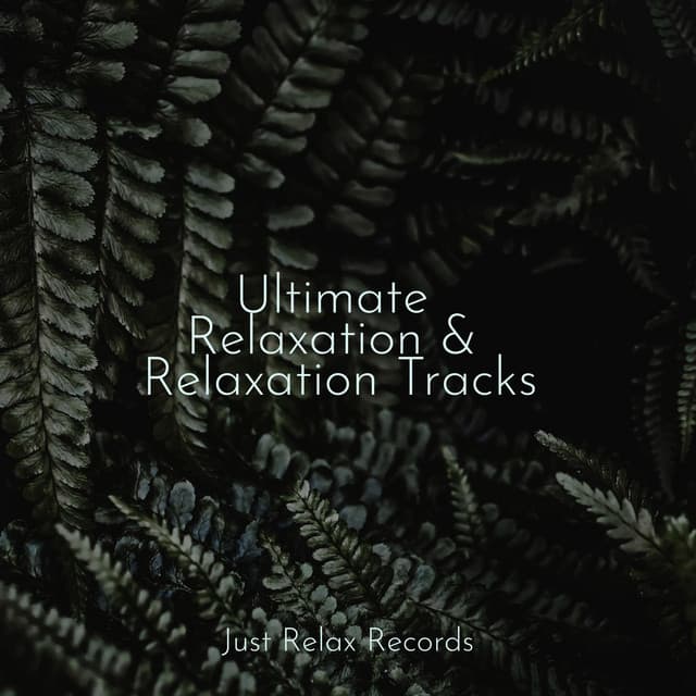 Ultimate Relaxation & Relaxation Tracks - Study Hard