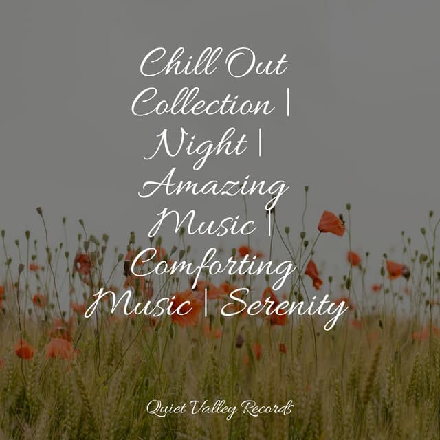 Chill Out Collection | Night | Amazing Music | Comforting Music | Serenity - Anxiety Relief