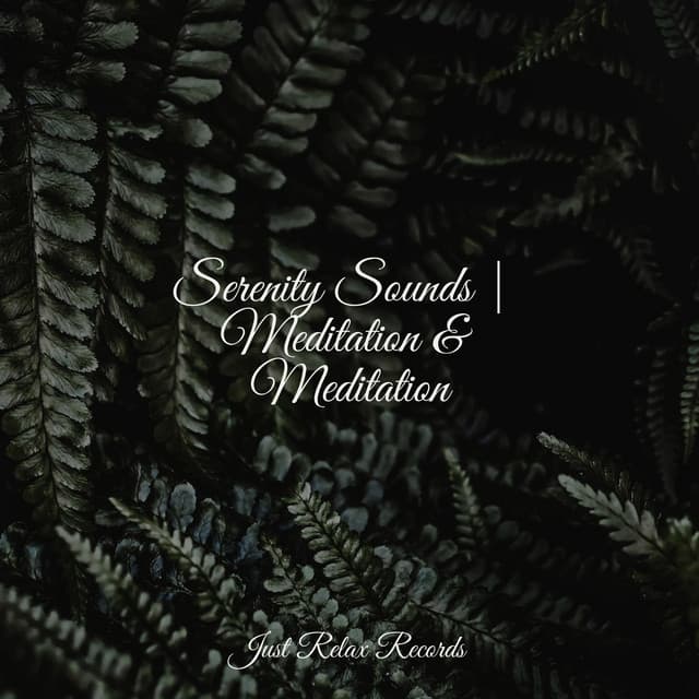 Serenity Sounds | Meditation & Meditation - Musica Romantica